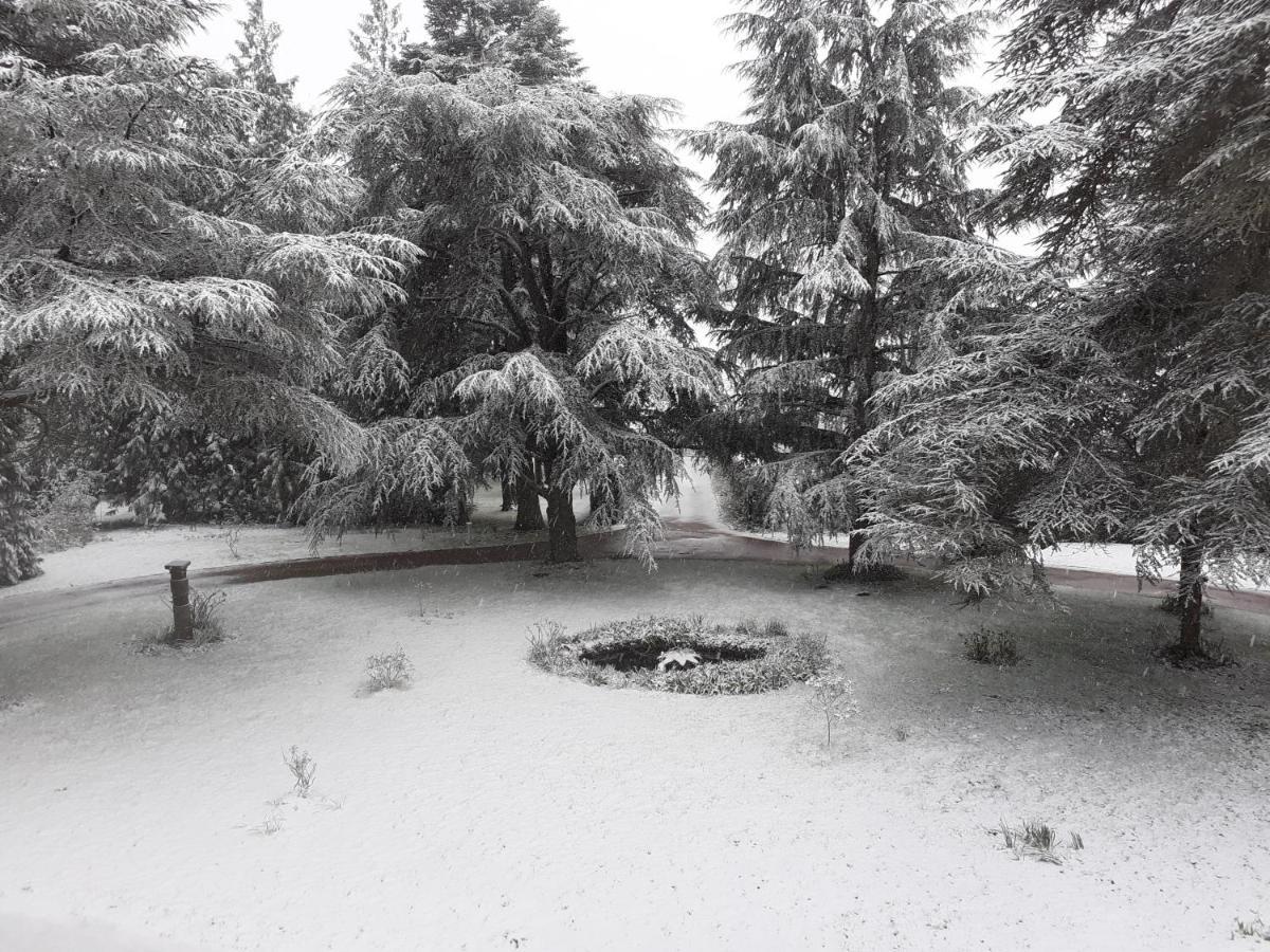 Manoir De Camblain Bed & Breakfast Екстериор снимка